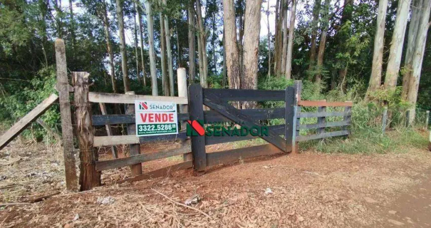 Chácara com 1 dormitório à venda, 34451 m² por R$ 1.500.000,00 - Zona Rural - Ibiporã/PR