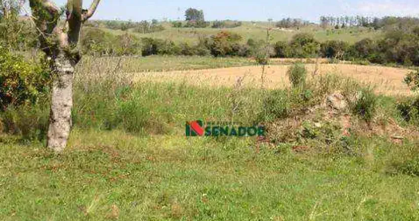 Sítio com 2 dormitórios à venda, 62500 m² por R$ 2.200.000 - Paiquerê - Londrina/PR
