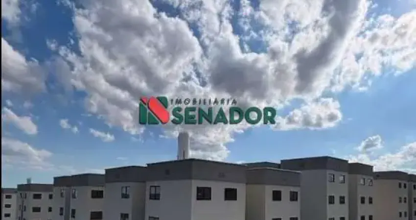 Apartamento para alugar em londrina, conjunto semiramis barros braga, com 2 quartos, com 47 m²