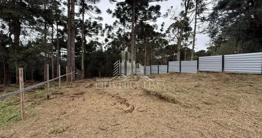Terreno para venda no bairro jardim paulista em campina grande do sul