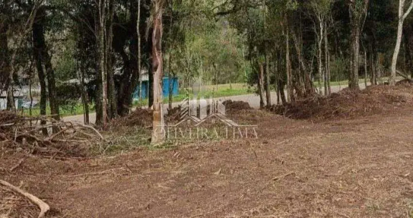 Terreno para venda no bairro palmitalzinho em quatro barras