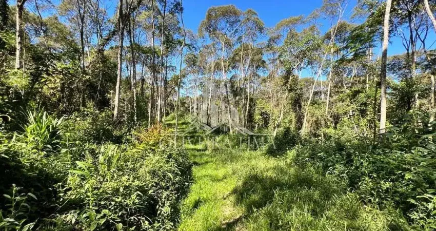 Chácara / sítio à venda na Estrada da Cantareira, 500, Florestal, Quatro Barras