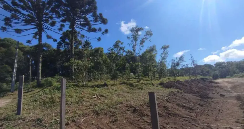Terreno à venda na Zona Rural, Campina Grande do Sul