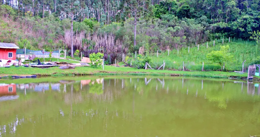 Chácara / sítio com 2 quartos à venda na Rua Antônio Selusniak, 634, Zona Rural, Mandirituba