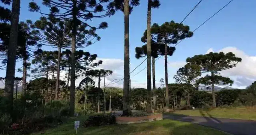 Terreno em condomínio fechado à venda na Rua Osmário de Oliveira Bastos, 1353, Vila Fuck, Piraquara