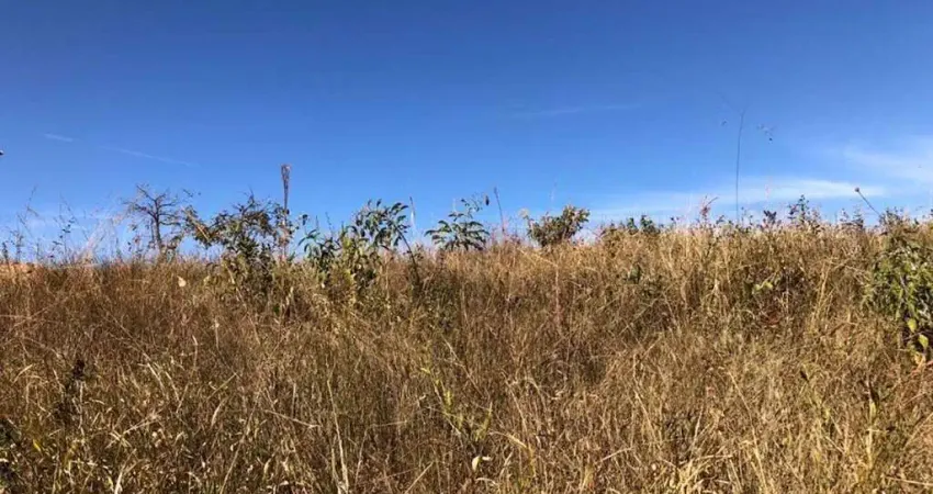Sítio à venda, 0 m² por R$ 200.000 - Zona Rural - Perdizes/MG