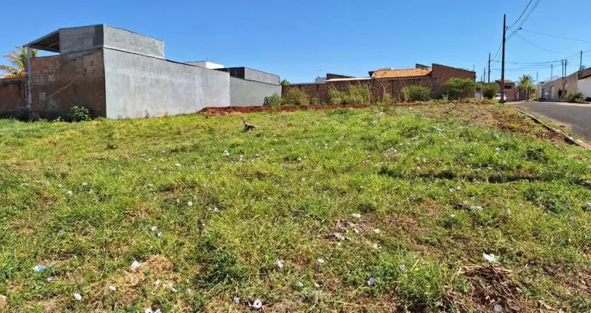 Terreno à venda, 250 m² por R$ 100.000,00 - Jardim Maracanã - Uberaba/MG