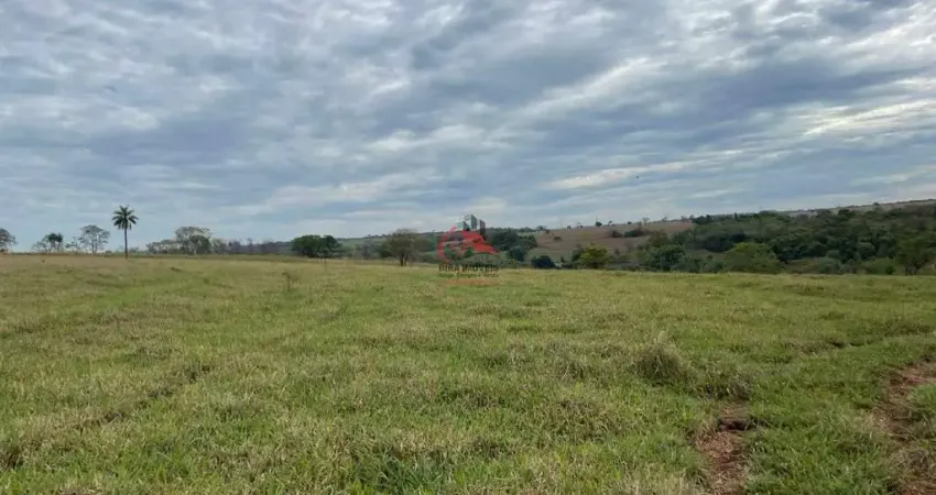 FAZENDA NA REGIÃO DE UBERABA