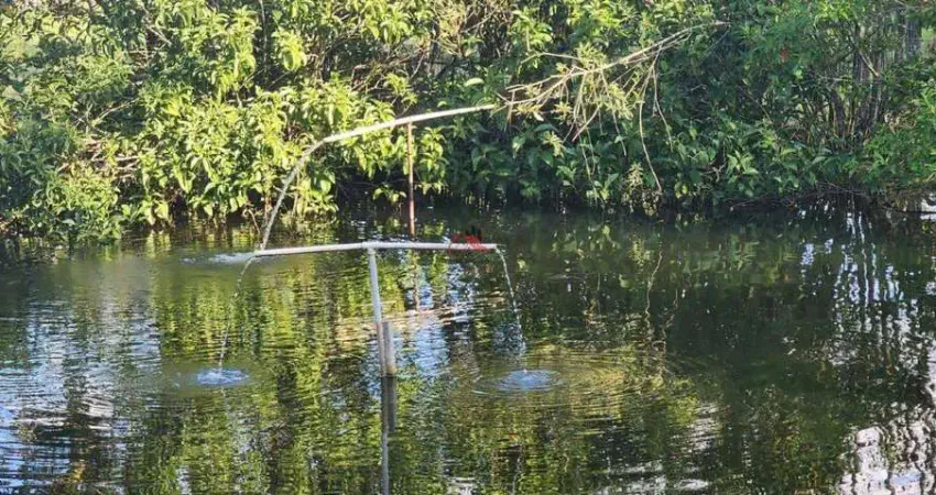 Chácara / sítio com 3 quartos à venda na Área Rural de Uberaba, Uberaba 