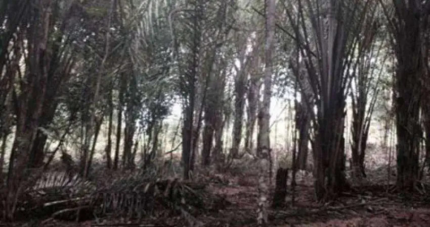 Terreno à venda na Zona Rural, Iranduba 