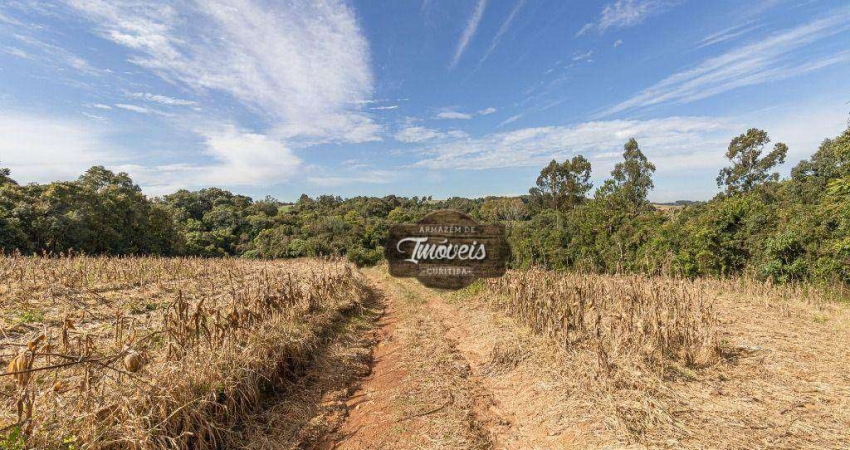 Chácara com 48 mil m², a 600metros da Igreja, Colonia Balbino, Balsa Nova/PR