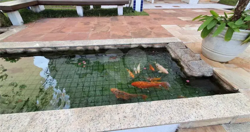 Apartamento com 3 quartos à venda em Vila Isolina Mazzei - SP