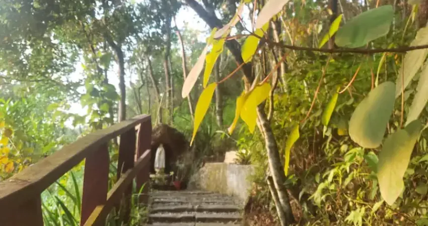 Oportunidade única! espaço completo para spa, pousada ou clínica em mairiporã!