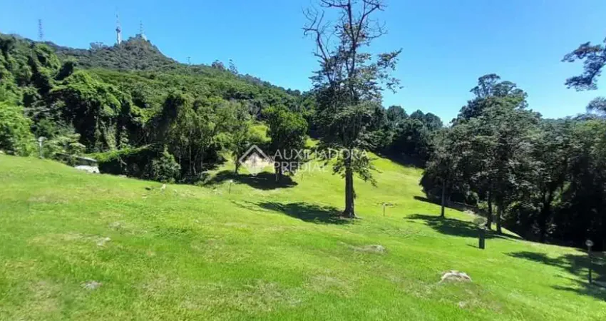 Casa em condomínio fechado com 3 quartos para alugar na Servidão Maria Rosa Martins, 174, Trindade, Florianópolis