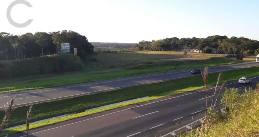 Chácara / sítio à venda na Rodovia Régis Bittencourt, Centro, Pariquera-Açu