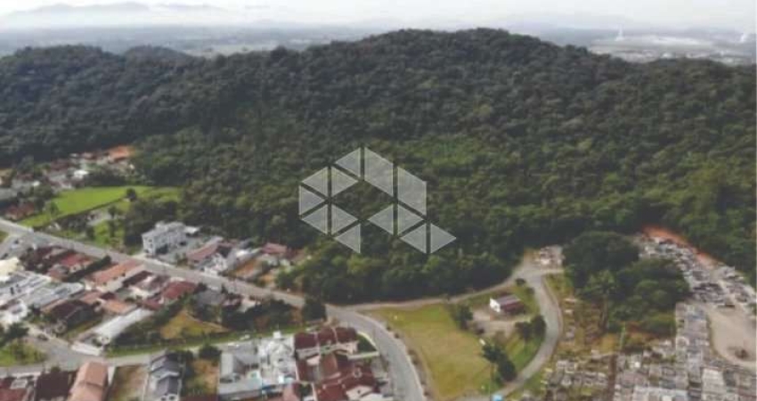 Terreno em Pirabeiraba  com 101 mil metros quadrados com projeto de viabilidade para uso e ocupação do so, ótima localização, acesso direto a BR - 101
