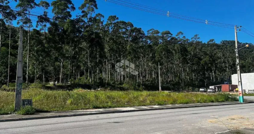 Terreno 404m² Loteamento Terras Altas - São Francisco de Assis - Camboriú