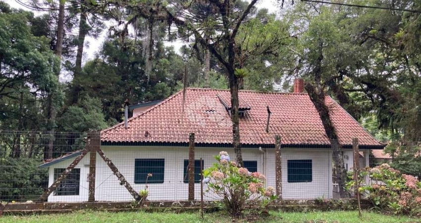 Terreno na Vila Suzana com 3.271 m2, com excelente potencial para empreendimentos