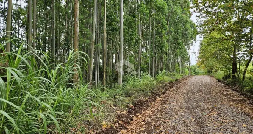 Área de terra em São Valentim do Sul