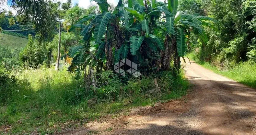 Chácara / sítio com 1 quarto à venda na Rs 431, 13, Faria Lemos (Distrito), Bento Gonçalves