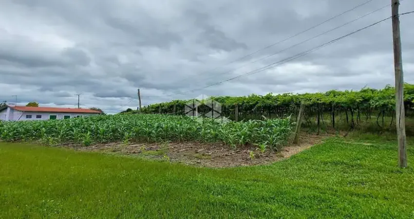 Fazenda à venda na Rural Tuiuty, 10, Zona Rural, Bento Gonçalves