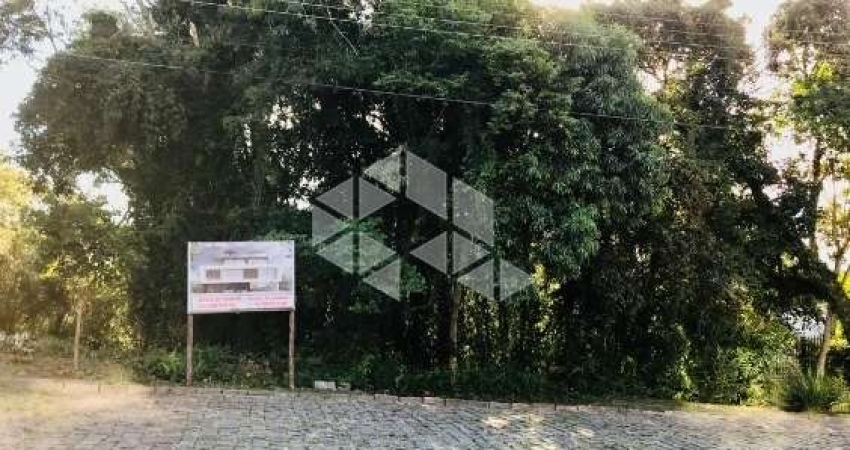 Terreno à venda na Coraina Leite Zorrer, 80, Santo Antão, Bento Gonçalves