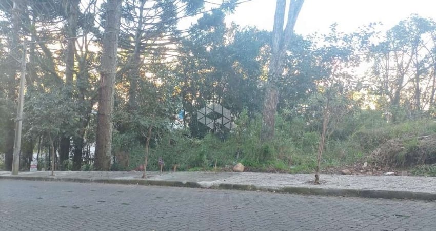 Terreno à venda na Rua Elizeu Grasselli, 4, Progresso, Bento Gonçalves