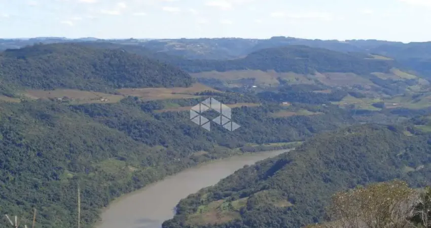 Chácara / sítio à venda na Br-470, 1, São Valentin, Bento Gonçalves