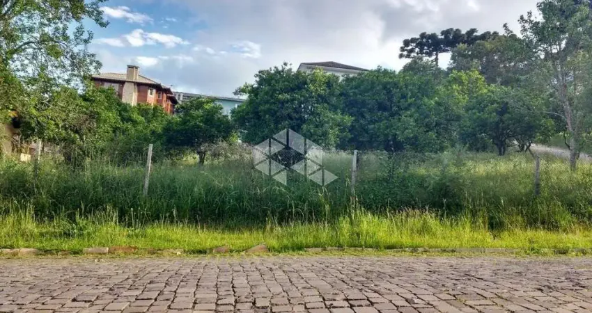 Terreno à venda na Rua Domênico Zanetti, 58, Imigrante, Bento Gonçalves