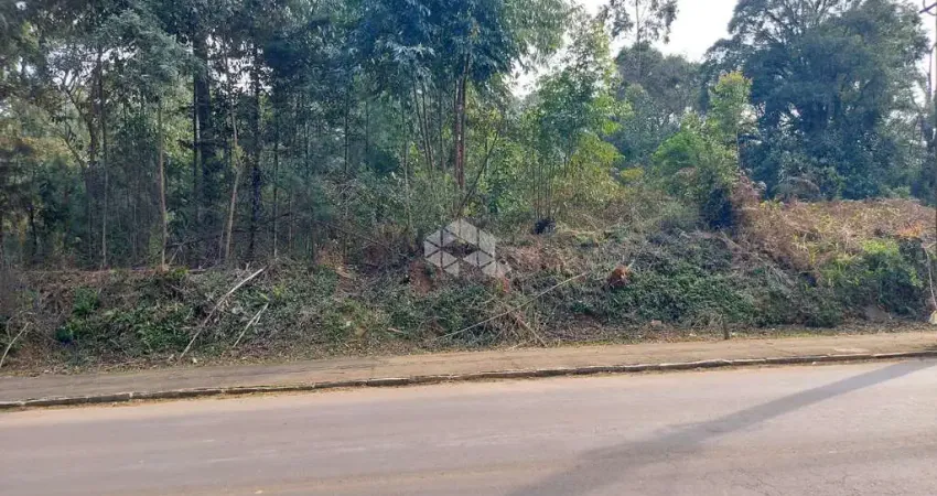 Terreno à venda na José Antônio Zanetti, 74, Tamandaré, Garibaldi