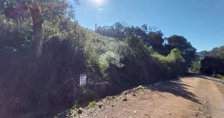 Terreno à venda na RSC 453 Km 101,5, 100, Tamandaré, Garibaldi
