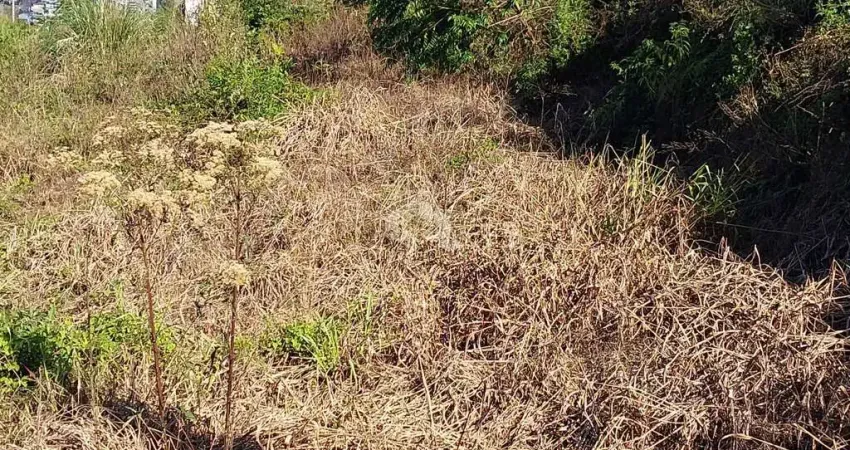 Terreno à venda na Bramante Mion, 10, Ouro Verde, Bento Gonçalves
