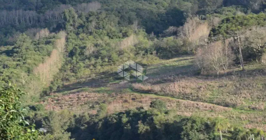 Terreno à venda na R S t 453 Km 107, 10, Linha Palmeiro, Farroupilha