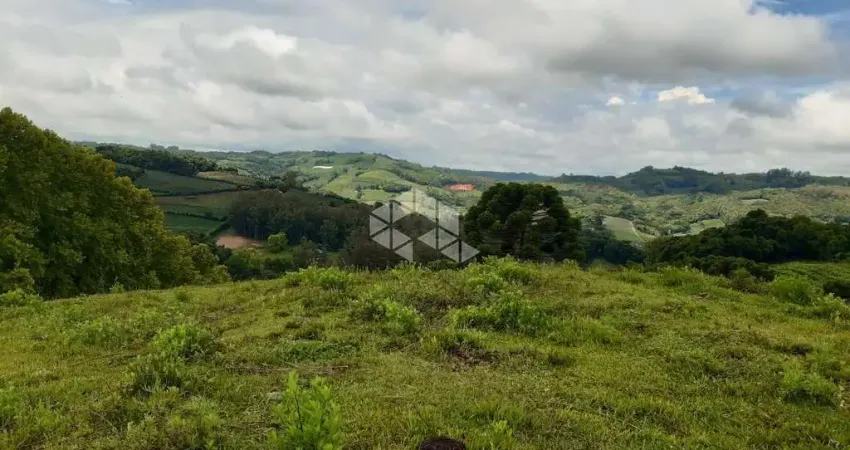 Chácara / sítio à venda na São Pedro, 10, Barracão, Bento Gonçalves