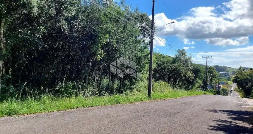 Terreno à venda na Eca De Queiróz, 14, Garibaldina, Garibaldi