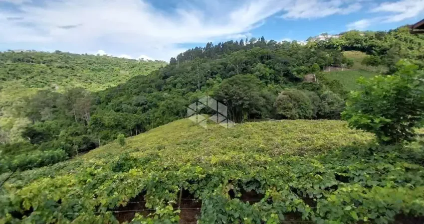 Chácara / sítio com 1 quarto à venda na Joaquim Toniollo, 111, São Vendelino, Bento Gonçalves