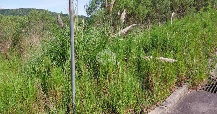Terreno à venda na Estrada dos Imigrantes, S/n - Bairro Cruzeiro, 1, Cruzeiro, Bento Gonçalves
