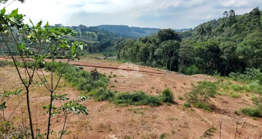 Terreno industrial entre Bento Gonçalves e Garibaldi