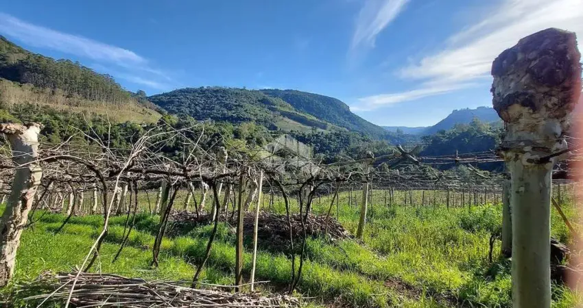 Chácara / sítio com 1 quarto à venda na Pederneira, 10, Zona Rural, Santa Tereza