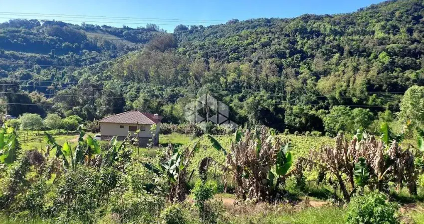 Chácara / sítio à venda na Linha 100 da Leopoldina, 108, Zona Rural, Monte Belo do Sul