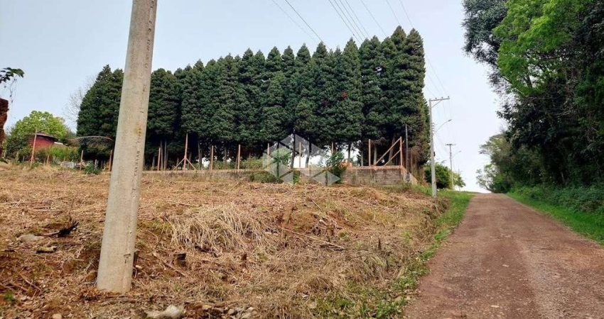 Terreno à venda na BR-470, 2, São Valentin, Bento Gonçalves