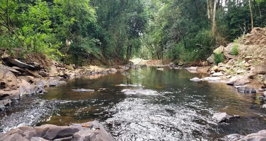 Chácara / sítio à venda na Rs444, 31, Vale dos Vinhedos (Distrito), Bento Gonçalves