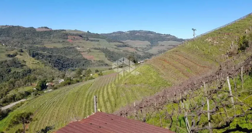 Terreno à venda na Linha Fernandes Lima, 31, Zona Rural, Monte Belo do Sul