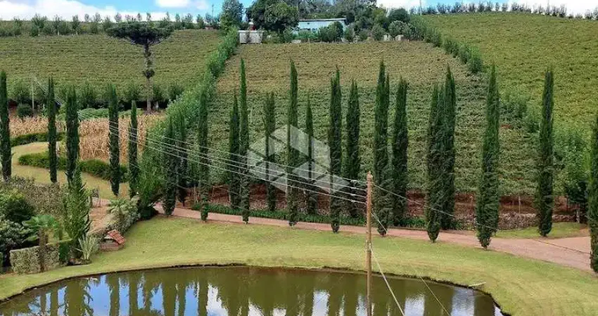 Área rural com casa de 7 quartos/dormitórios em monte belo do sul