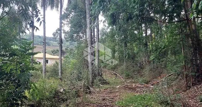 Chácara / sítio à venda na Rs 431, 10, Faria Lemos (Distrito), Bento Gonçalves