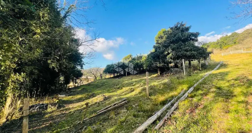 Terreno à venda na Vrs 855 Linha Palmeiro, 119, São Pedro, Bento Gonçalves