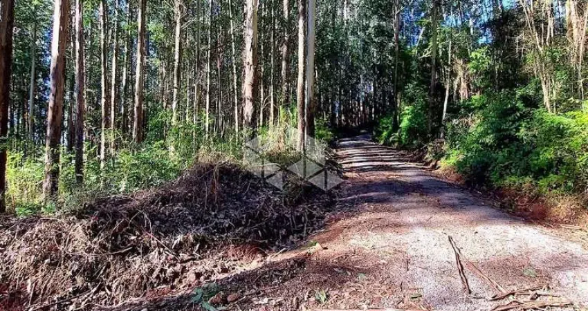 Sítio em Arco verde