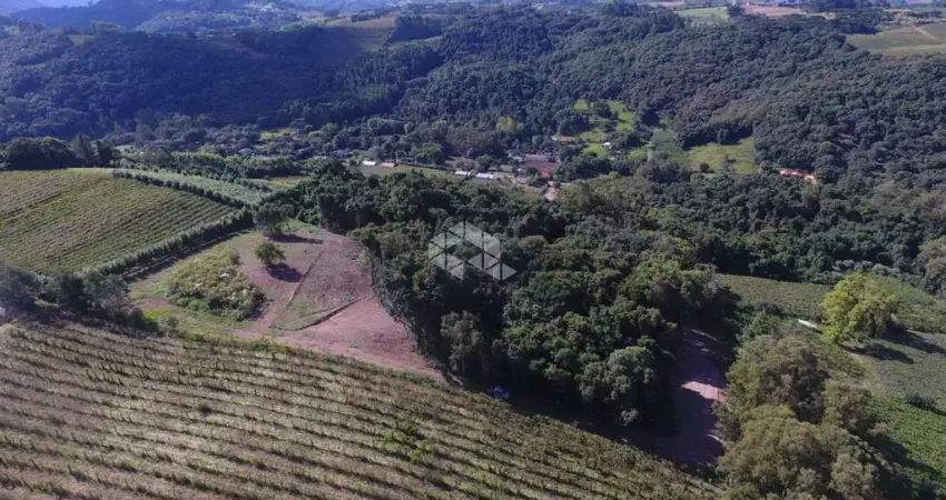 Terreno à venda na Linha Palmeiro, 56, Centro, Pinto Bandeira