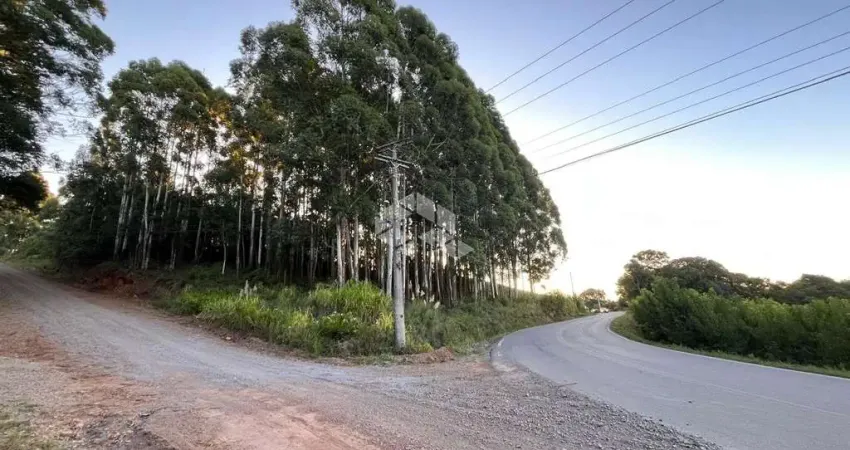 Terreno à venda na Linha Amadeu, 1, Centro, Pinto Bandeira