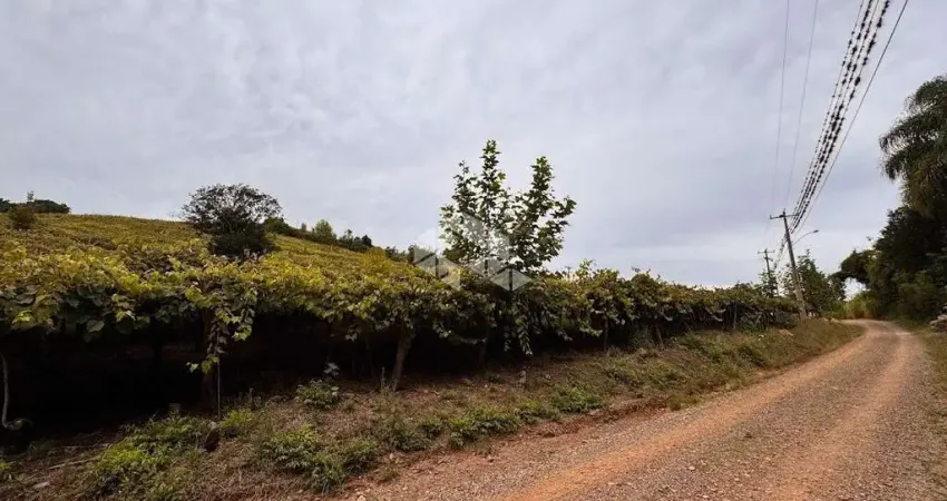 Chácara / sítio com 4 quartos à venda na Rs 431, 800, Faria Lemos (Distrito), Bento Gonçalves